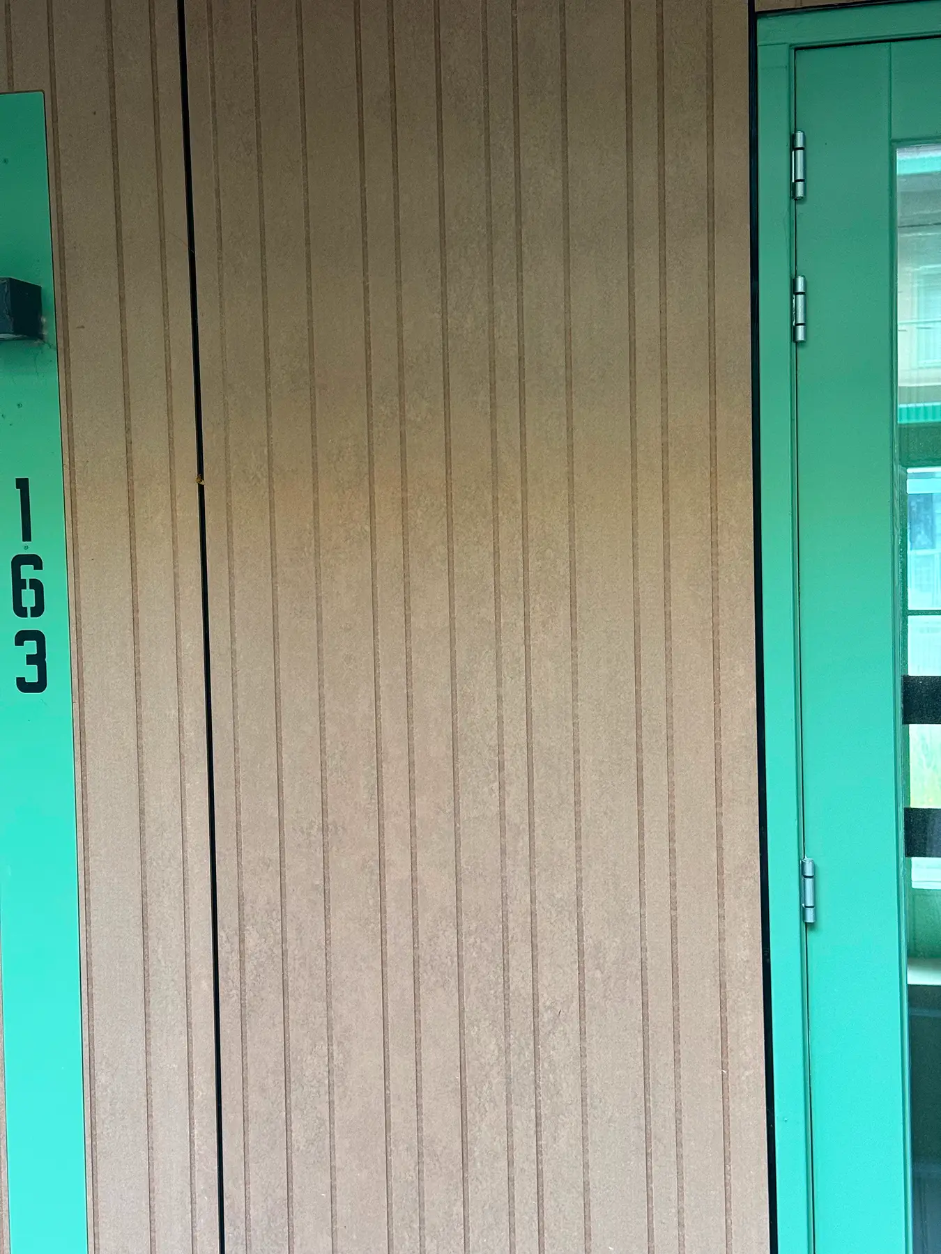 Close-up van een geveldeel met verticale bruine panelen en turquoise deur met het nummer 163.
